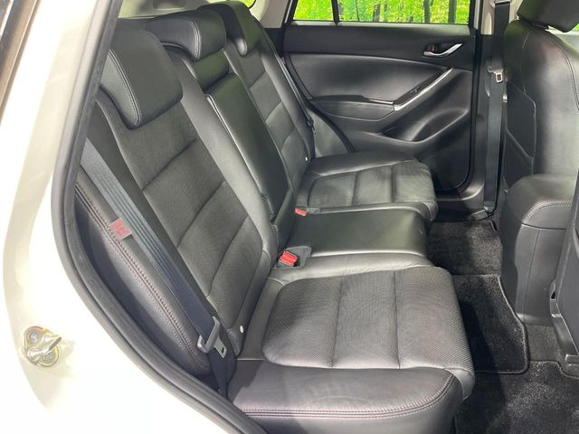 �㕔���Ȃ��C�ɂȂ�悤�ȃL�Y�E�����ւ��蓙�A�傫�ȃ_���[�W�͂Ȃ��A�ǍD�ȏ�Ԃł��B