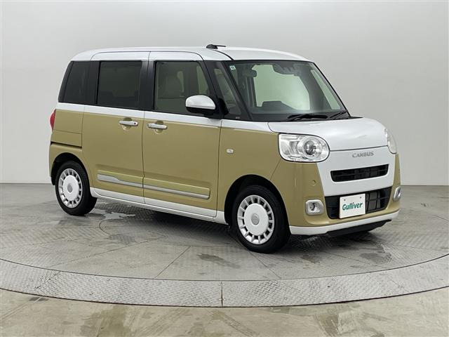 ムーヴキャンバスストライプス G