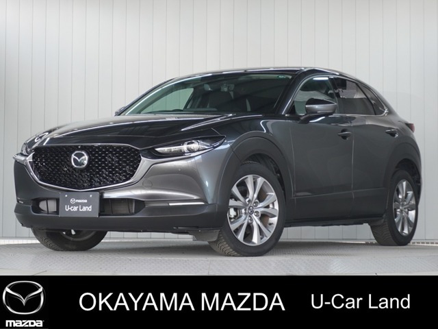 CX-302.0 20S プロアクティブ ツーリングセレクション 4WD