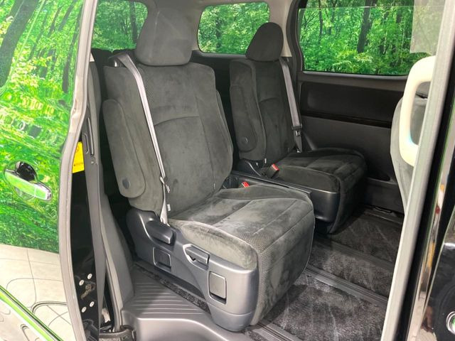 �㕔���Ȃ��C�ɂȂ�悤�ȃL�Y�E�����ւ��蓙�A�傫�ȃ_���[�W�͂Ȃ��A�ǍD�ȏ�Ԃł��B