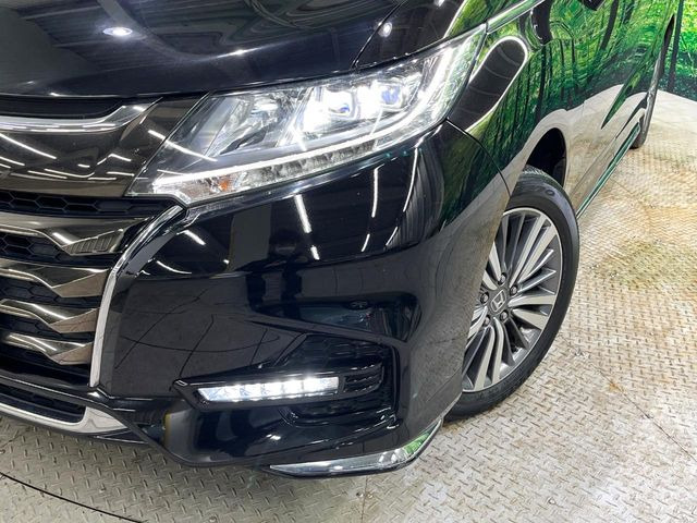 �w�b�h���C�g��e�[�������v&�A���~�z�C�[�����̊e��R�[�e�B���O���I�X�X�����Ă���܂��B�����Y�����̉��΂݂≘���}���A���ꂢ�ȏ�Ԃ������e�i���X���X�ŕۂĂ܂���