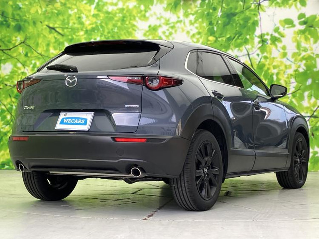 CX-302.0 20S レトロスポーツエディション