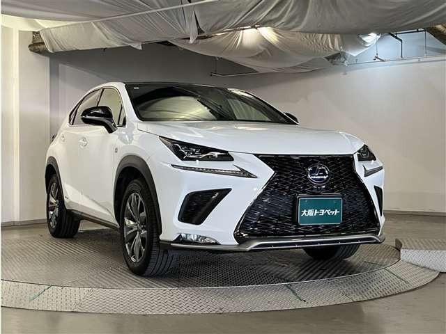 NX300h Fスポーツ