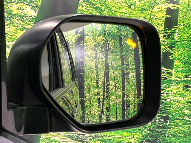 �y�u���C���h�X�|�b�g���[�j���O�z���s���A�h�A�~���[�̎��p�ɂȂ�₷���ӏ��Ɍ㑱�Ԃ��ڋ߂���ƃT�C�h�~���[�t�߂Ɍx����\���A�h���C�o�[�ɒ��ӊ��N�����Ă���܂��B