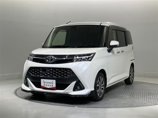 タンク1.0 カスタム G-T