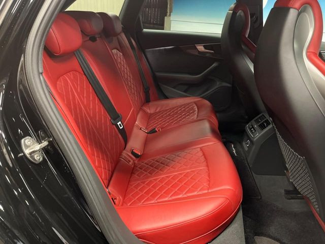 ���㕔���Ȃ��C�ɂȂ�悤�ȃL�Y�E�����ւ��蓙�A�傫�ȃ_���[�W�͂Ȃ��A�ǍD�ȏ�Ԃł��B