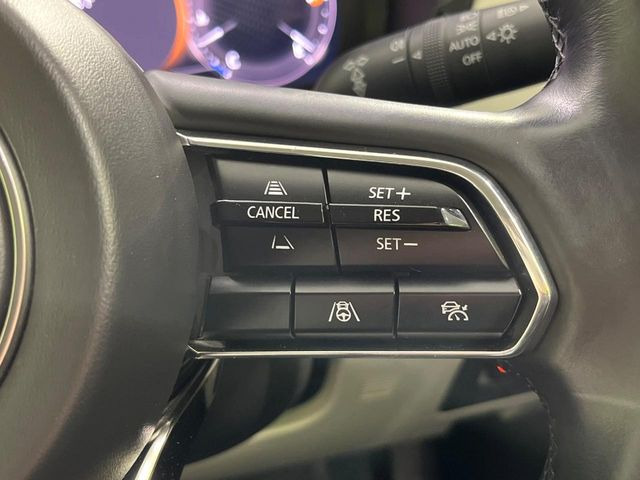 �y�}�c�_�E���[�_�[�N���[�Y�R���g���[���z�������H�ł̒��������s���y��!�����ő��x��ۂN���[�Y�R���g���[�����A�Փˌy���V�X�e���ƘA�g���A�O���̎ԗ������m���ĎԊԂ�ۂ悤�ɑ��x���߂��Ă���܂�!!