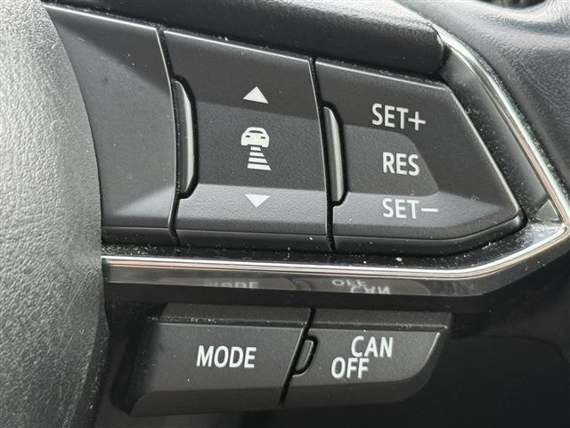 ���Ǝҗl�ւ̔̔��͂��f�肳���Ă��������܂��B �Ԍ������ԗ��̏ꍇ�́A�Ԍ����擾�������x�������z�ŕ\�����Ă���܂��B