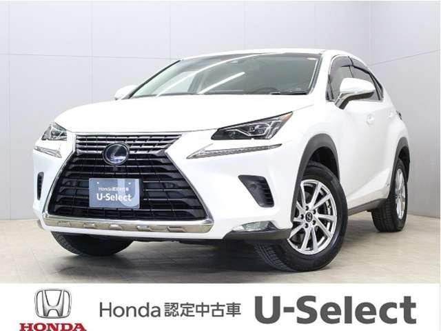 NX300h Iパッケージ