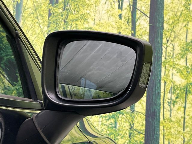 �y�u���C���h�X�|�b�g���j�^�����O�z���s���A�h�A�~���[�̎��p�ɂȂ�₷���ӏ��Ɍ㑱�Ԃ��ڋ߂���ƃT�C�h�~���[�t�߂Ɍx����\���A�h���C�o�[�ɒ��ӊ��N�����Ă���܂��B