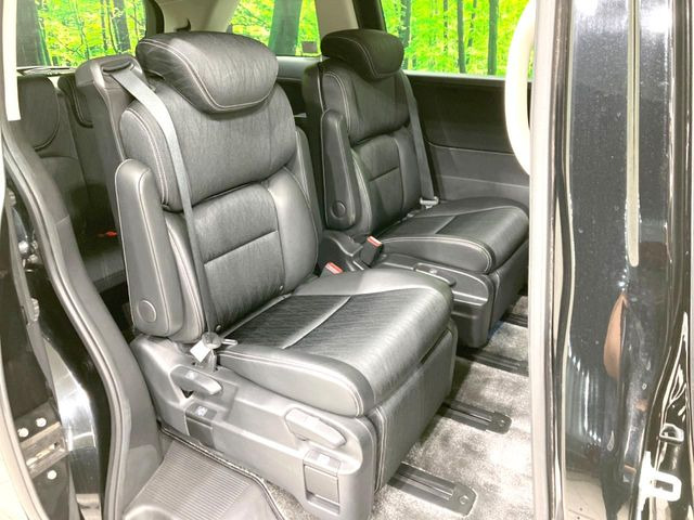 �㕔���Ȃ��C�ɂȂ�悤�ȃL�Y�E�����ւ��蓙�A�傫�ȃ_���[�W�͂Ȃ��A�ǍD�ȏ�Ԃł��B