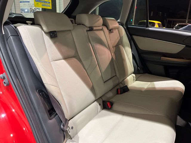 �㕔���Ȃ��C�ɂȂ�悤�ȃL�Y�E�����ւ��蓙�A�傫�ȃ_���[�W�͂Ȃ��A�ǍD�ȏ�Ԃł��B