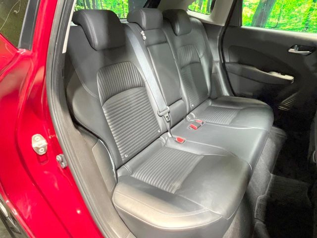 �㕔���Ȃ��C�ɂȂ�悤�ȃL�Y�E�����ւ��蓙�A�傫�ȃ_���[�W�͂Ȃ��A�ǍD�ȏ�Ԃł��B