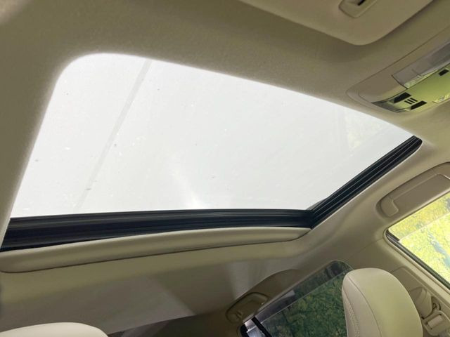 �y�T�����[�t�z�J���������Ղ�̊󏭑����A�T�����[�t����������Ă��܂�!�ԓ��ɖ�����������ꂽ��i�F���y���ވȊO�ɂ��A�ԓ��̋�C���ȒP�Ɋ��C�ł��ĉ��K�ł�!