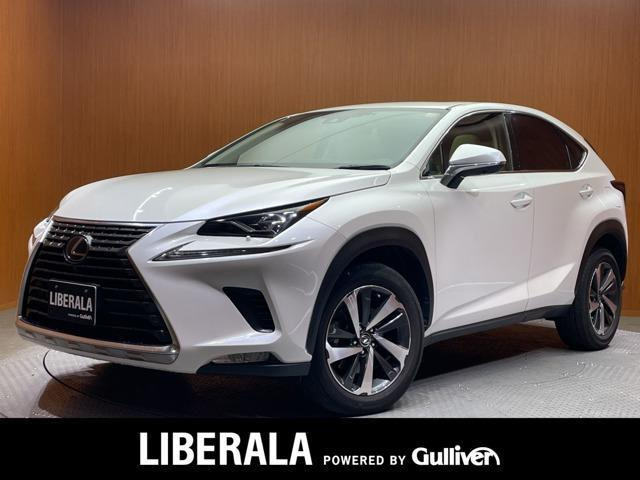 NX300 Iパッケージ