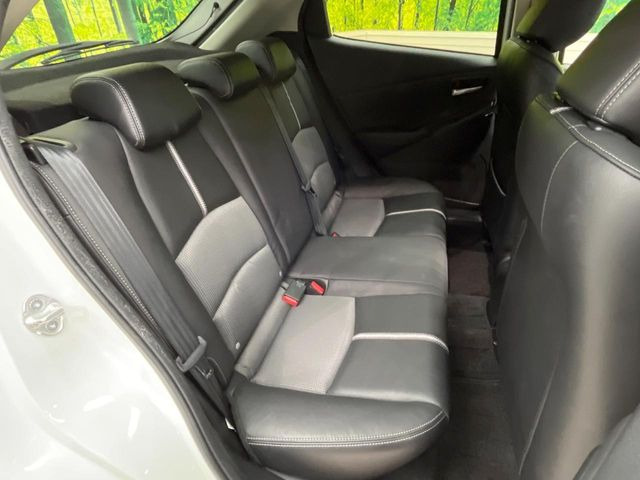 �㕔���Ȃ��C�ɂȂ�悤�ȃL�Y�E�����ւ��蓙�A�傫�ȃ_���[�W�͂Ȃ��A�ǍD�ȏ�Ԃł��B