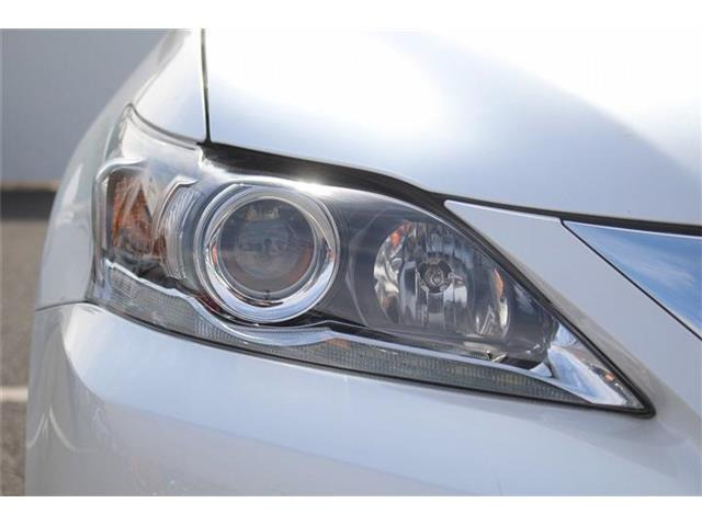 ���Ǝҗl�ւ̔̔��͂��f�肳���Ă��������܂��B �Ԍ������ԗ��̏ꍇ�́A�Ԍ����擾�������x�������z�ŕ\�����Ă���܂��B