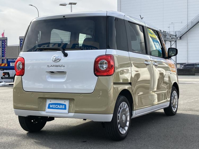 ムーヴキャンバスストライプス X