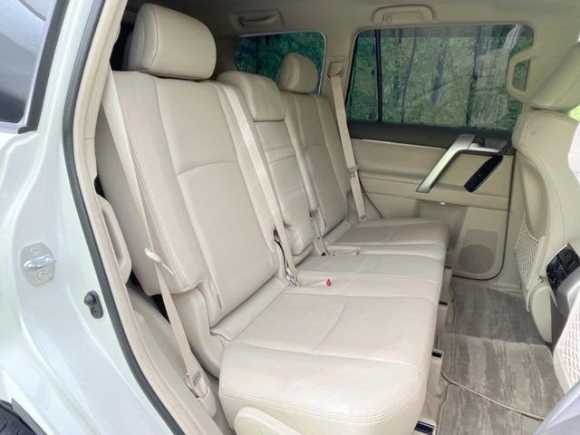 �㕔���Ȃ��C�ɂȂ�悤�ȃL�Y�E�����ւ��蓙�A�傫�ȃ_���[�W�͂Ȃ��A�ǍD�ȏ�Ԃł��B