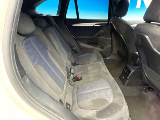 ���㕔���Ȃ��C�ɂȂ�悤�ȃL�Y�E�����ւ��蓙�A�傫�ȃ_���[�W�͂Ȃ��A�ǍD�ȏ�Ԃł��B