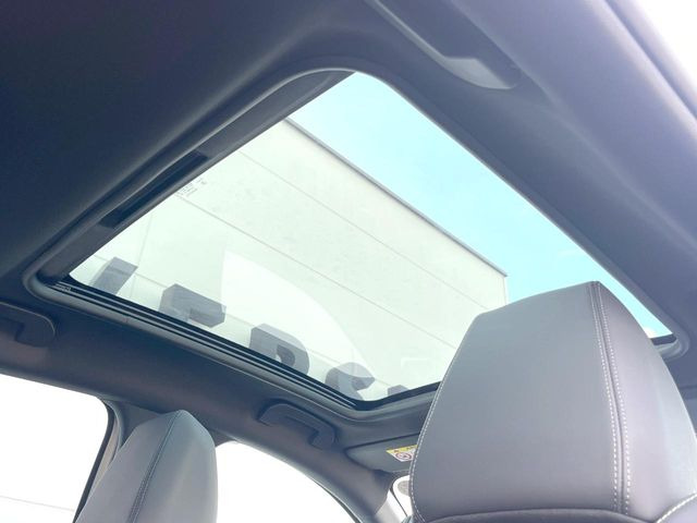 ���p�m���}�~�b�N�K���X���[�t:�唗�͂̃p�m���}���[�t�́A�㕔���Ȃɂ܂ő����Ă���A�J���I�ȋ�Ԃ����y���݂��������܂��B