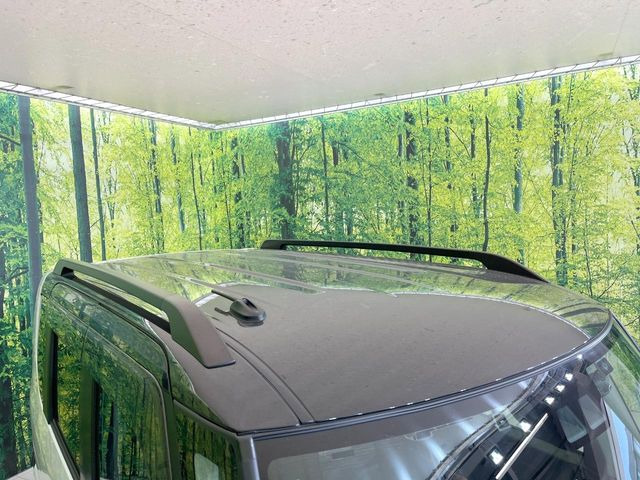 タントファンクロス