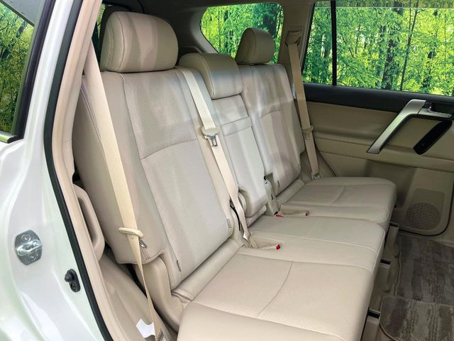 �㕔���Ȃ��C�ɂȂ�悤�ȃL�Y�E�����ւ��蓙�A�傫�ȃ_���[�W�͂Ȃ��A�ǍD�ȏ�Ԃł��B