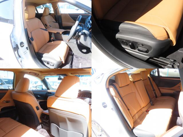 �V�[�g����ԗǍD�ł���B�傫�ȉ�����Ȃ��A���S�ł��B����S�n�������ł���B