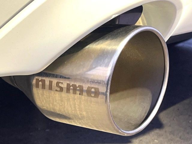 �ynismo���}�t���[�z�����ɂ͂Ȃ������ӂ��u���p�v�����o����nismo�}�t���[�t��!�r�W���A���E�T�E���h���ɂ������̈��Ɏd�オ���Ă���܂���