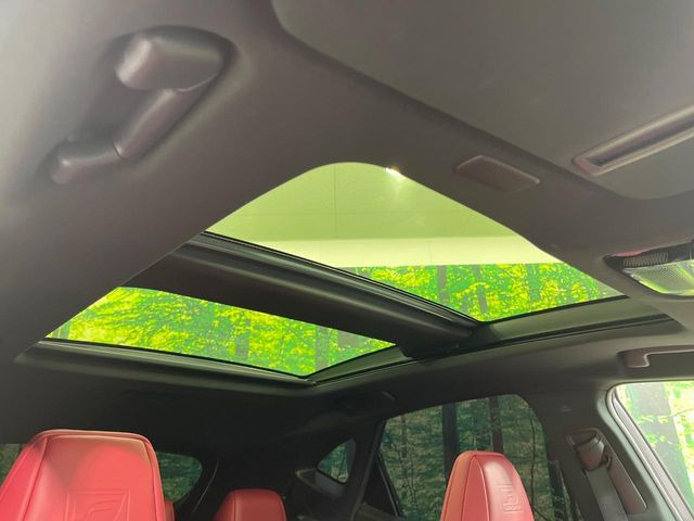 NX350h Fスポーツ