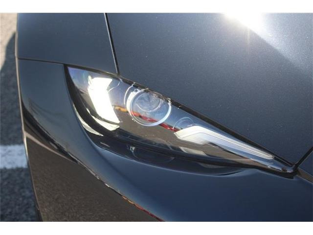 ���Ǝҗl�ւ̔̔��͂��f�肳���Ă��������܂��B �Ԍ������ԗ��̏ꍇ�́A�Ԍ����擾�������x�������z�ŕ\�����Ă���܂��B