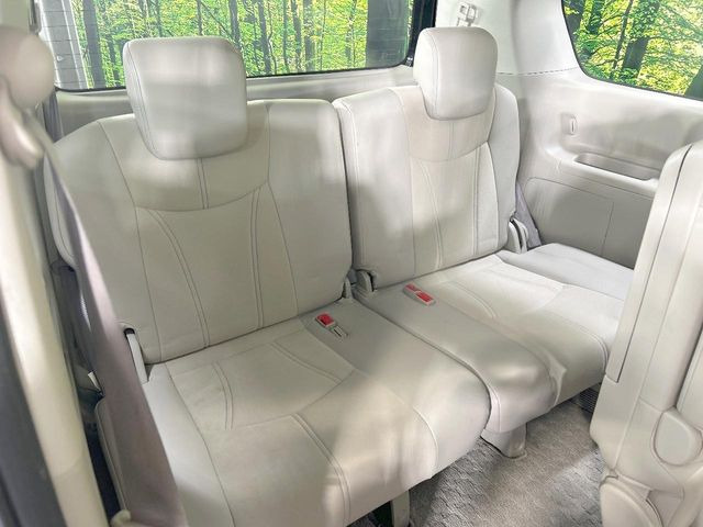 �㕔���Ȃ��C�ɂȂ�悤�ȃL�Y�E�����ւ��蓙�A�傫�ȃ_���[�W�͂Ȃ��A�ǍD�ȏ�Ԃł��B