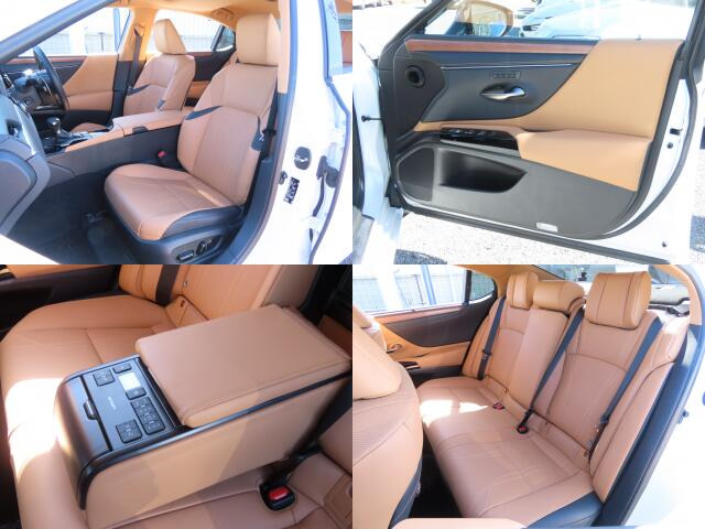 �V�[�g����ԗǍD�������x�����X���������A���ۂɍ����Ă݂Ă���������!