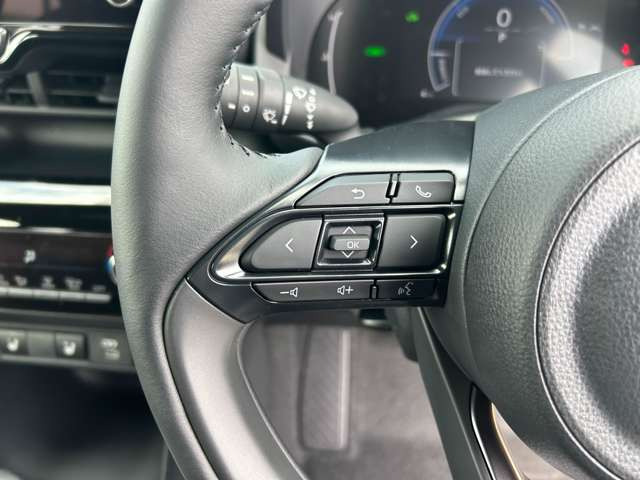 ���͂₢�E�����E���S�̎Ԍ��̑S���`�F�[���y�A�b�v���Ԍ��z�����X�ł����^�A�ǎw�薯�ԎԌ��H��𕹐݂��Ă��܂���