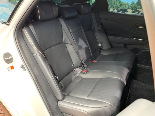 �㕔���Ȃ��C�ɂȂ�悤�ȃL�Y�E�����ւ��蓙�A�傫�ȃ_���[�W�͂Ȃ��A�ǍD�ȏ�Ԃł��B