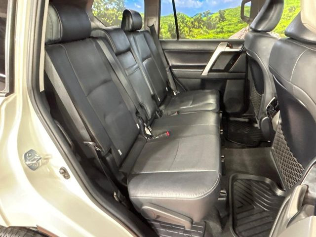 �㕔���Ȃ��C�ɂȂ�悤�ȃL�Y�E�����ւ��蓙�A�傫�ȃ_���[�W�͂Ȃ��A�ǍD�ȏ�Ԃł��B