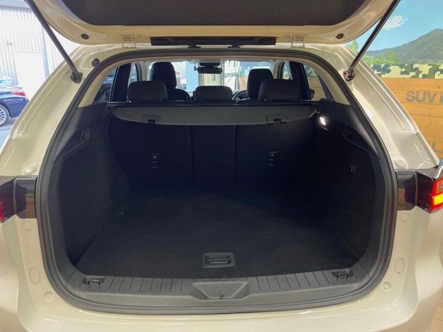 ���i�̂���������ʋ΁A���}���ɏ\���ȉ׎��X�y�[�X���m�ۂ��Ă���܂��B�Z�J���h�V�[�g��|���ƁA�傫�ȉו��̐ύڂ��\�ł���