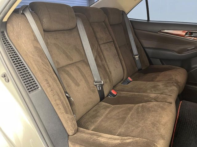 �㕔���Ȃ��C�ɂȂ�悤�ȃL�Y�E�����ւ��蓙�A�傫�ȃ_���[�W�͂Ȃ��A�ǍD�ȏ�Ԃł��B