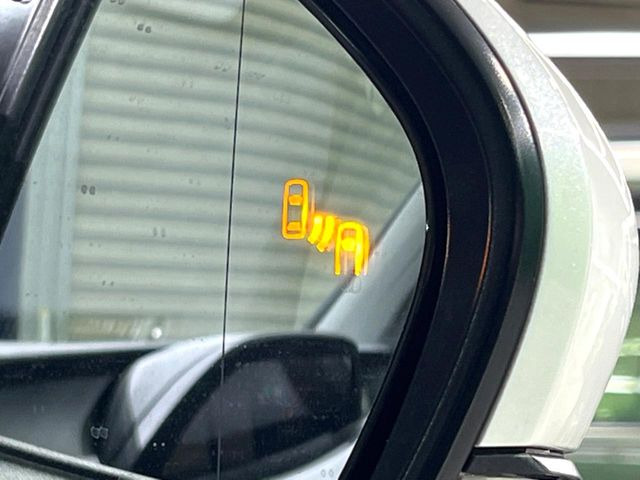 �y�u���C���h�X�|�b�g���j�^�[�z���s���A�h�A�~���[�̎��p�ɂȂ�₷���ӏ��Ɍ㑱�Ԃ��ڋ߂���ƃT�C�h�~���[�̃����Y�Ɍx����\��!�h���C�o�[�ɒ��ӊ��N�����Ă���܂��B