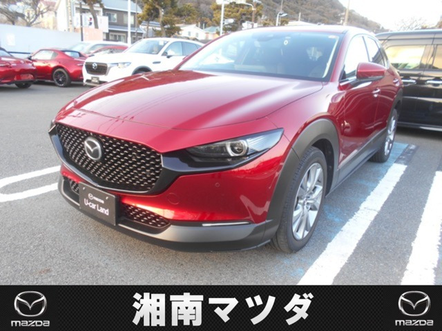 CX-301.8 XD Lパッケージ