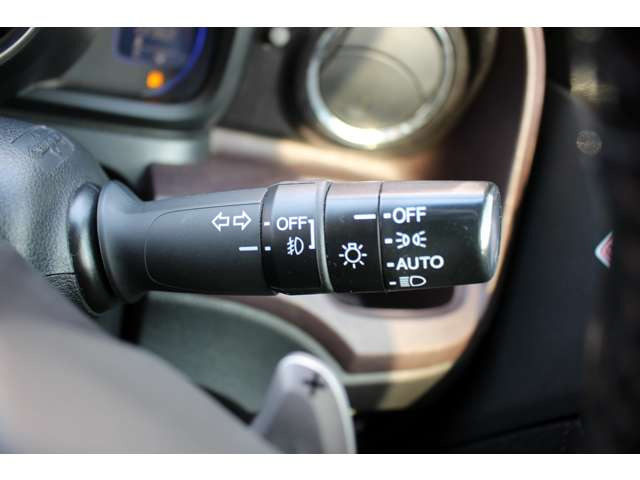 �I�[�g���C�g