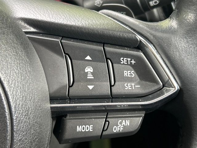 �y�}�c�_�E���[�_�[�N���[�Y�R���g���[���z�������H�ł̒��������s���y��!�����ő��x��ۂN���[�Y�R���g���[�����A�Փˌy���V�X�e���ƘA�g���A�O���̎ԗ������m���ĎԊԂ�ۂ悤�ɑ��x���߂��Ă���܂�!!