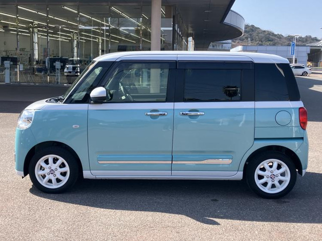 ムーヴキャンバスストライプス G