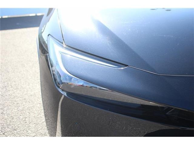 ���Ǝҗl�ւ̔̔��͂��f�肳���Ă��������܂��B �Ԍ������ԗ��̏ꍇ�́A�Ԍ����擾�������x�������z�ŕ\�����Ă���܂��B