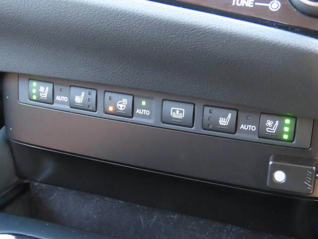 �V�[�g�q�[�^�[�E�V�[�g�G�A�R���E�n���h���q�[�^�[�A�A�A�������a�؂��Ă܂�www