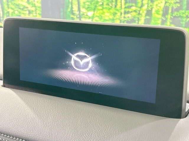 CX-52.0 20S ブラックトーンエディション