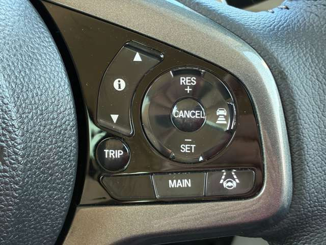 クルーズコントロール付