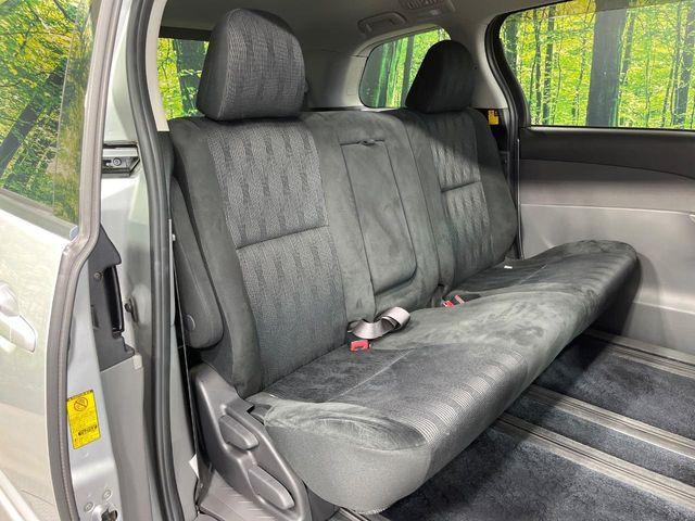 �㕔���Ȃ��C�ɂȂ�悤�ȃL�Y�E�����ւ��蓙�A�傫�ȃ_���[�W�͂Ȃ��A�ǍD�ȏ�Ԃł��B