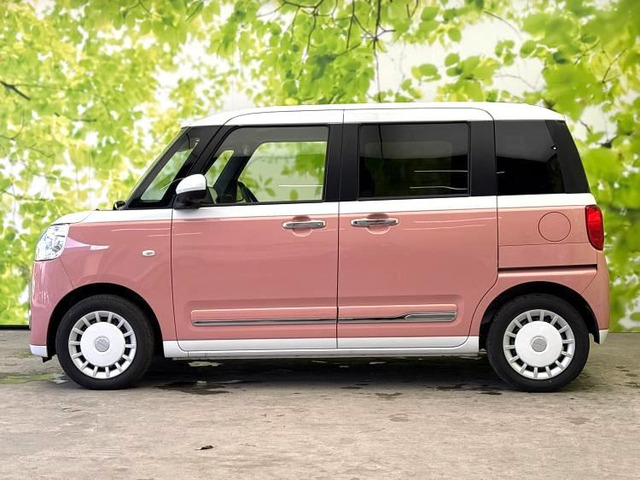 ムーヴキャンバスストライプス G