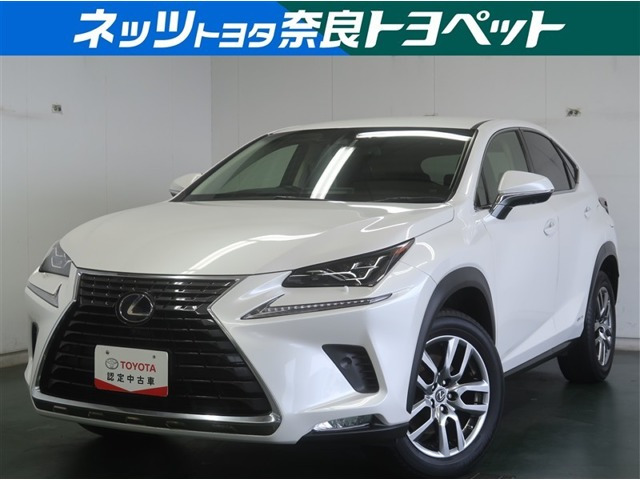 NX300h バージョンL